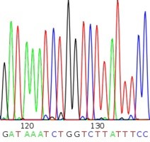 DNAシーケンシングの再構築における合理化アプローチ