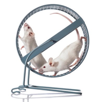 運動不足のマウスのランニング持久力を強化する化合物