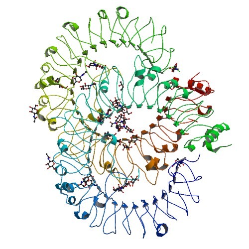 自己免疫疾患の発見から新薬開発へ：TLR8阻害低分子を合成