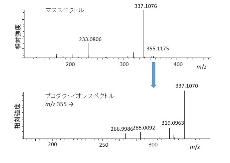 高分解能LC-MS/MSにより得られたプロダクトイオンスペクトル解析時の注意点-1