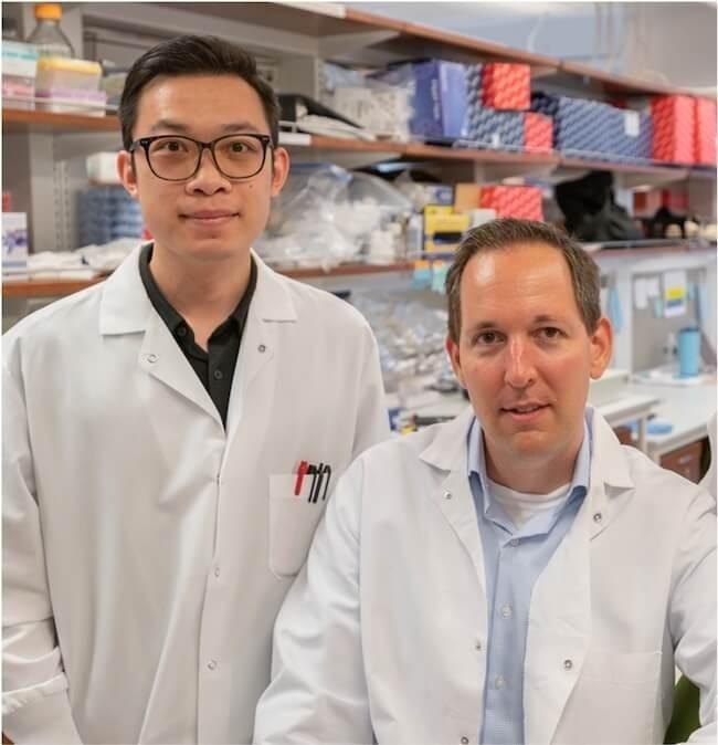 免疫系が友好的な腸内細菌を許容する仕組みを解明。粘膜免疫の理解に新たな進展。