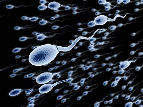 高齢の父親が子供に多くの遺伝子変異を受け継ぐ理由