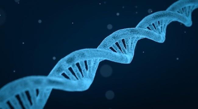 50以上の遺伝性疾患を一度に検査することで、『診断の放浪旅』を数十年から数日に短縮
