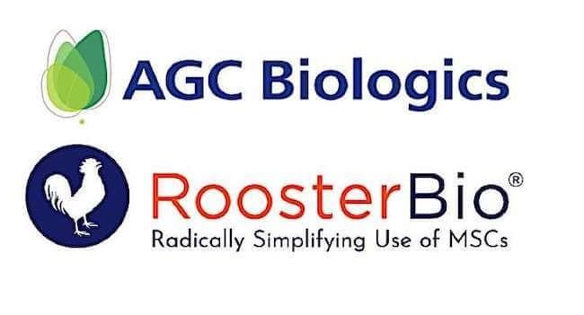 AGCバイオロジクス社とルースターバイオ社が細胞・エクソソーム治療薬の製造加速に向けた提携を発表