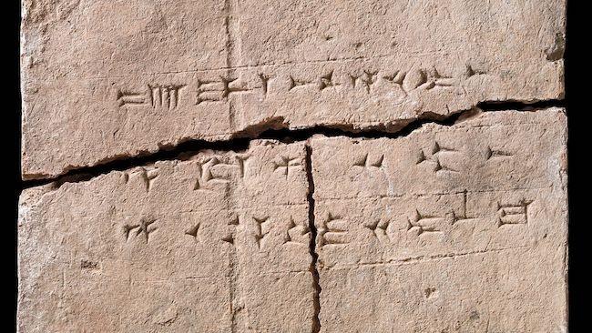 2,900年前の土のレンガから古代のDNAを抽出、植物の生命のタイムカプセルが明らかに