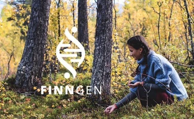 遺伝的隔離の威力:FinnGenの研究により数百の新しい遺伝子が発見された。