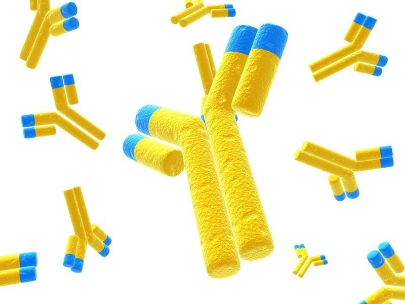 抗体分泌の鍵を解明:UCLAとシアトル小児研究所の最新研究でIgGの大量生産に関連する遺伝子を特定