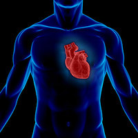 心血管系疾患に、マイクロRNAの抑制治療の道