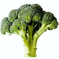 ブロッコリ抽出物が2型糖尿病の血糖値コントロールを改善