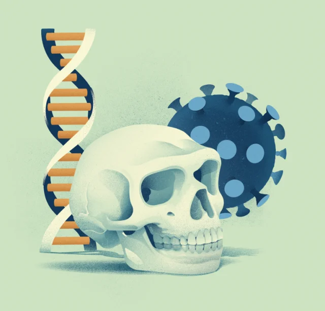 ネアンデルタール人から受け継いだ遺伝的変異がCOVID-19の重症化リスクを約20%減少させていた