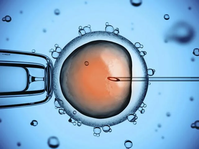 生殖医療研究者、体外受精の不成功に関わる遺伝子パターンを突き止める
