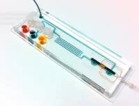 結核その他の細菌感染を迅速正確に検出できる携帯装置