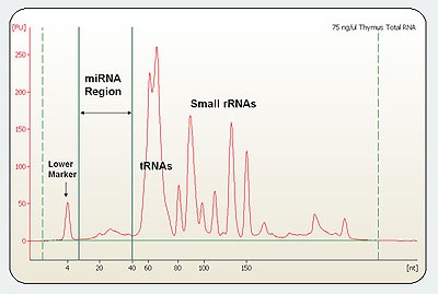 ノイズに隠れたSmall RNAをFDF-PAGEで検出可能に