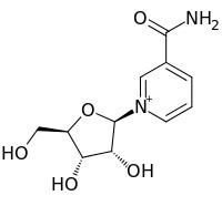 ニコチンアミドリボシド・サプリメントの臨床試験で､NAD+の増加と抗老化効果を実証