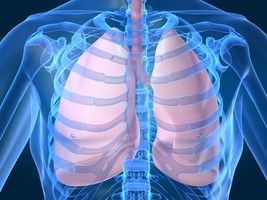 最も一般的な肺ガンの形成に関わる単一遺伝子をメイヨークリニックが特定