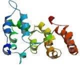 腫瘍まわりの微小環境中の前立腺がんタンパク質の役割が明らかに