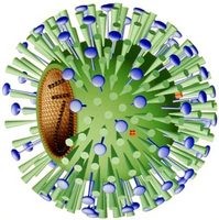 インフルエンザウイルスを目標とする人工設計タンパク質