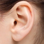 耳たぶの形に最低49個の遺伝子が関与と判明