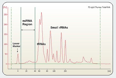 ノイズに隠れたSmall RNAをFDF-PAGEで検出可能に