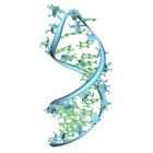 単一生細胞からmRNAを分離する独自の分子ツール開発