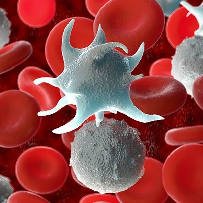 血小板は血管壁を選択的に不透過性にし、腫瘍細胞の転移を減らすことが発見された