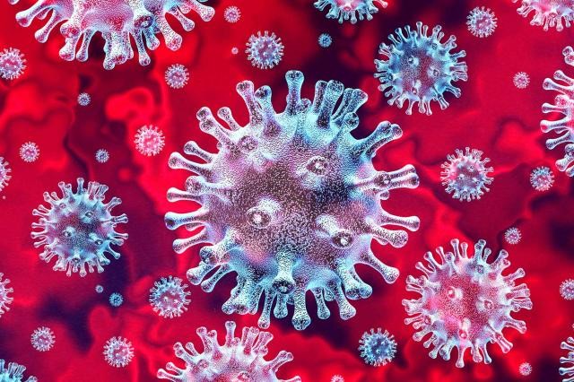 新型コロナウイルスSARS-CoV-2は、本当は血管疾患かもしれない