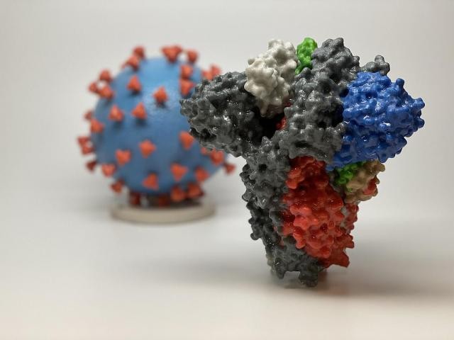 COVID-19治験ワクチンのNIH臨床試験が始まる。ワクチンはウイルスのスパイクタンパク質をコードするmRNA。