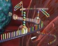 MicroRNAでバレット食道のがん進行を予測可能か