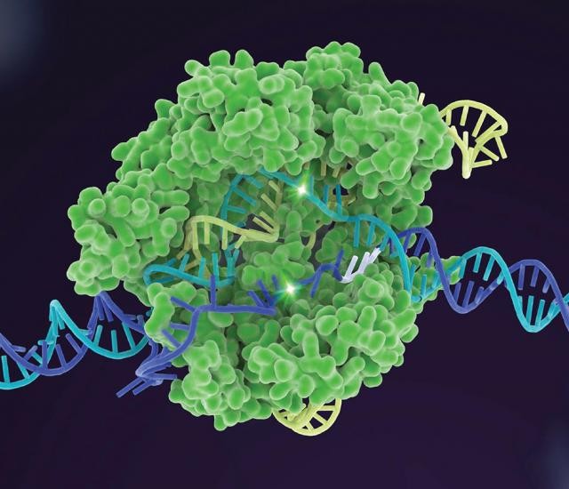 新CRISPR技術はエピジェネティックな継承を比類なく制御することができ、特定の遺伝性疾患の治療に大きな可能性を持っている