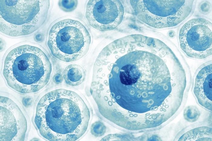 哺乳類の幹細胞は、植物や昆虫と同じ方法で、RNAウイルスから身を守ることができることを発見