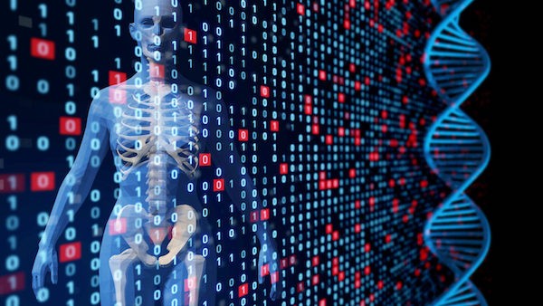 ハーバード大学が開発したプログラム『Codetta』が25万ゲノムの遺伝暗号を解読。大規模解析で遺伝暗号が普遍的でないことが明らかに。