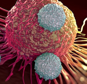 固形癌との闘いに体内の免疫システムを最適化する新研究