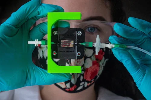 ライス大学の研究チームが1型糖尿病のためのインスリン産生インプラントを開発中