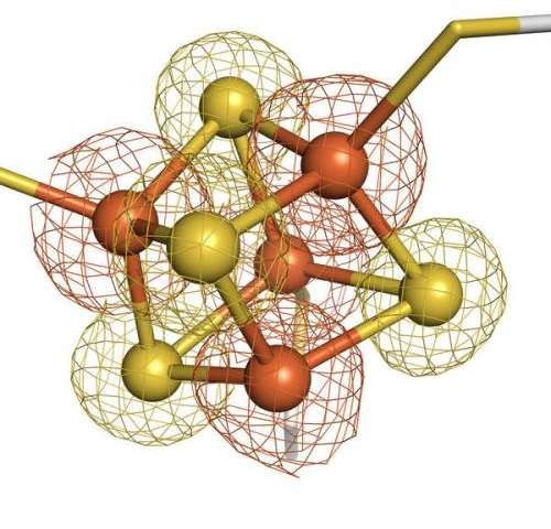 鉄-硫黄クラスターの研究は、病気を調べる新しい手段を提案する - バイオマーケットjp