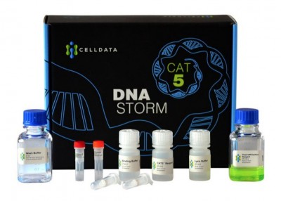 CELLDATA DNAstorm DNA抽出キット