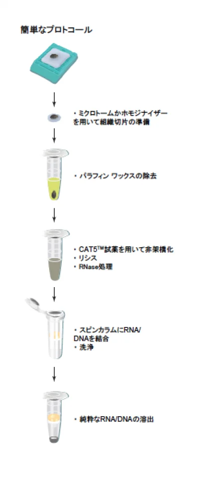 celldata65
