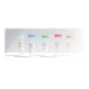 Osteogenetics cytokines サイトカイン試薬（BMP2）