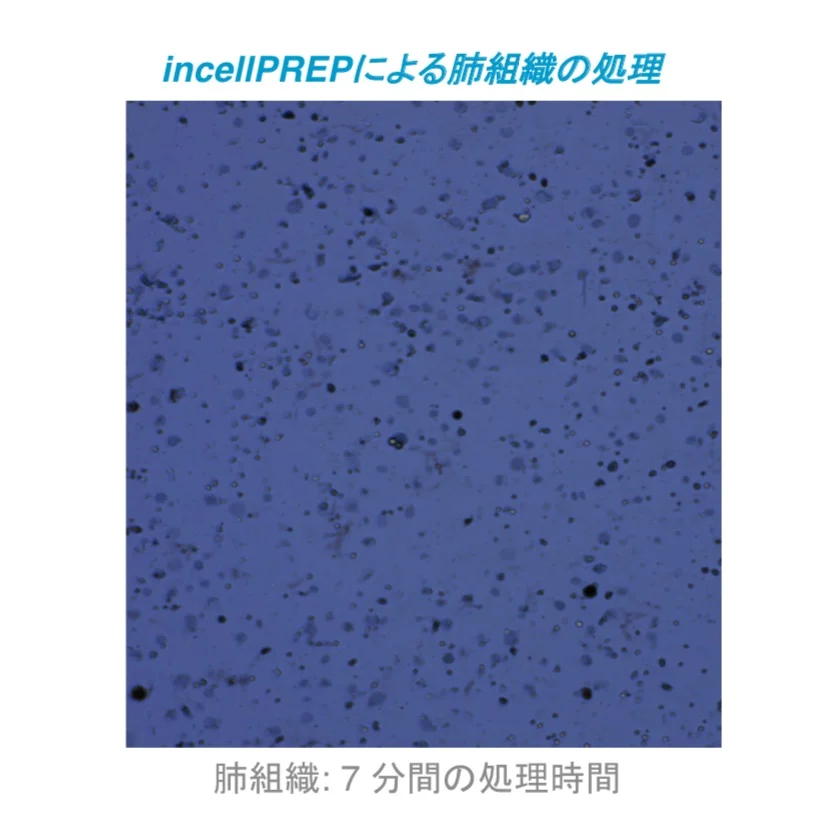 incellPREP2