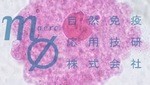 免疫賦活機能の評価