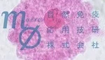 マクロファージ受託解析サービス