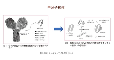 中分子有機化合物の創薬への新たな利用法
