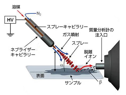 DESI （脱離エレクトロスプレーイオン化）質量分析イメージング