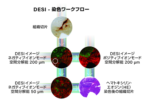 DESI_-1