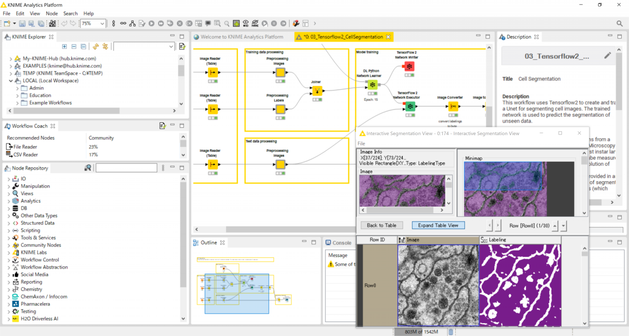 knime_cell