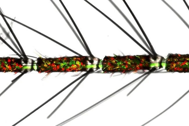 蚊が人間の匂いを嗅ぐ仕組みの謎に迫る：蚊の嗅覚神経が複数の化学物質受容体を発現していることを示す、従来の常識を覆す新発見