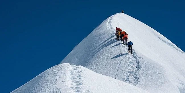 高地の長寿現象を解明：酸素制限によるマウスの寿命延長が初めて実証される