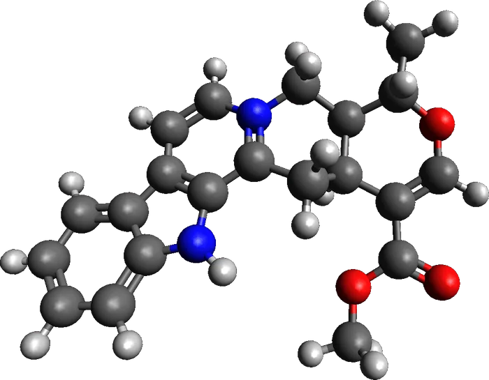 遺伝子組み換え酵母を用いた植物アルカロイドの新たな生物合成法