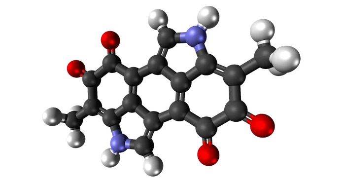 合成メラニンが有害な活性酸素を消去し、炎症を抑えることで、皮膚の傷の治癒を早める。