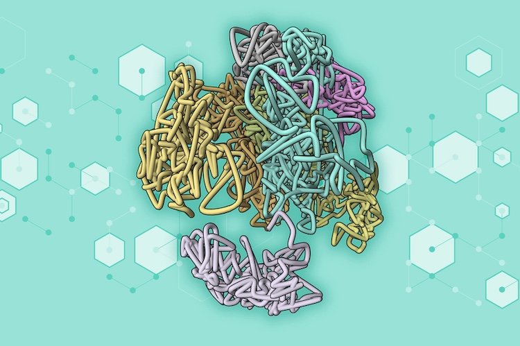 AIがDNAの3D構造を高速予測:クロマチン解析の新時代へ