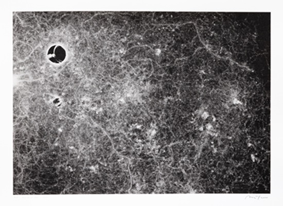 アリの行動がアートに!科学と芸術の融合が生み出す驚きの視覚世界